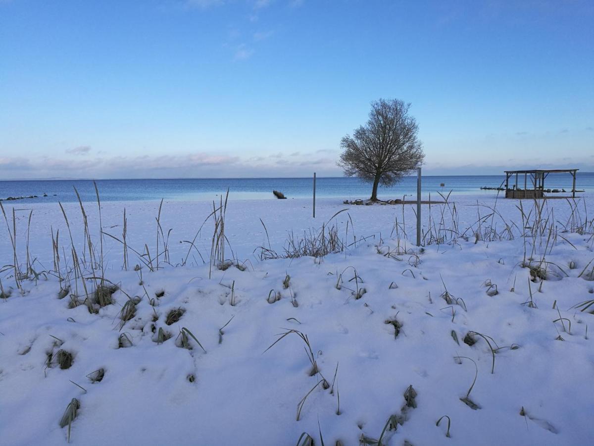 Fewo "Hafenblick" Ueckermünde Εξωτερικό φωτογραφία