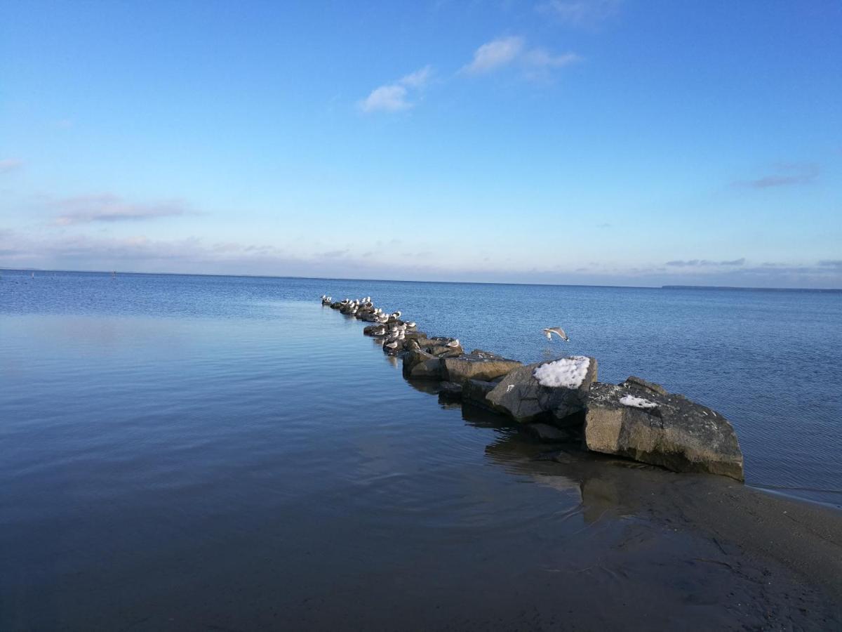 Fewo "Hafenblick" Ueckermünde Εξωτερικό φωτογραφία