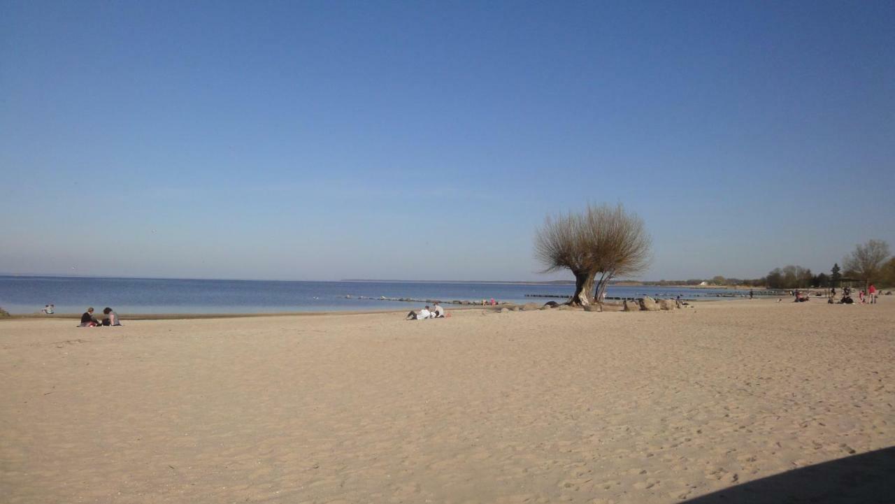 Fewo "Hafenblick" Ueckermünde Εξωτερικό φωτογραφία